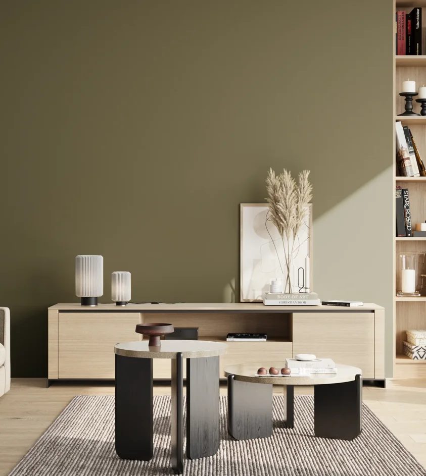 P10_SNIEZKA_salon_02_poludnie_GREY_S6020-G70Y