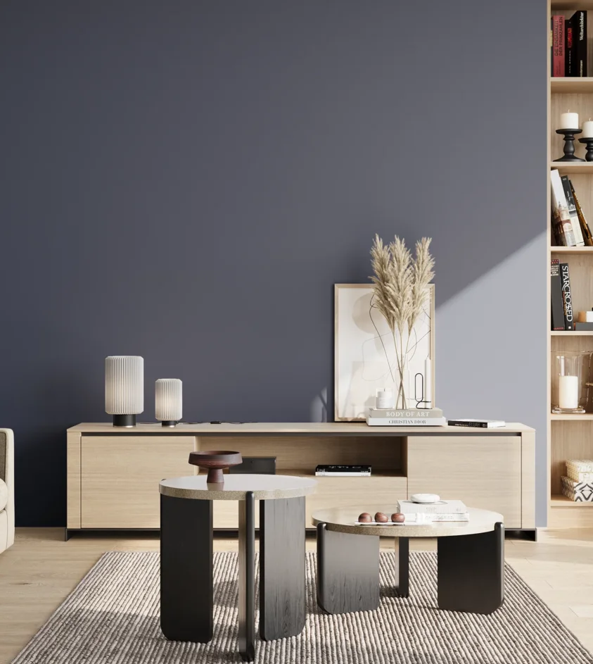 P10_SNIEZKA_salon_02_poludnie_GREY_S6020-R80B