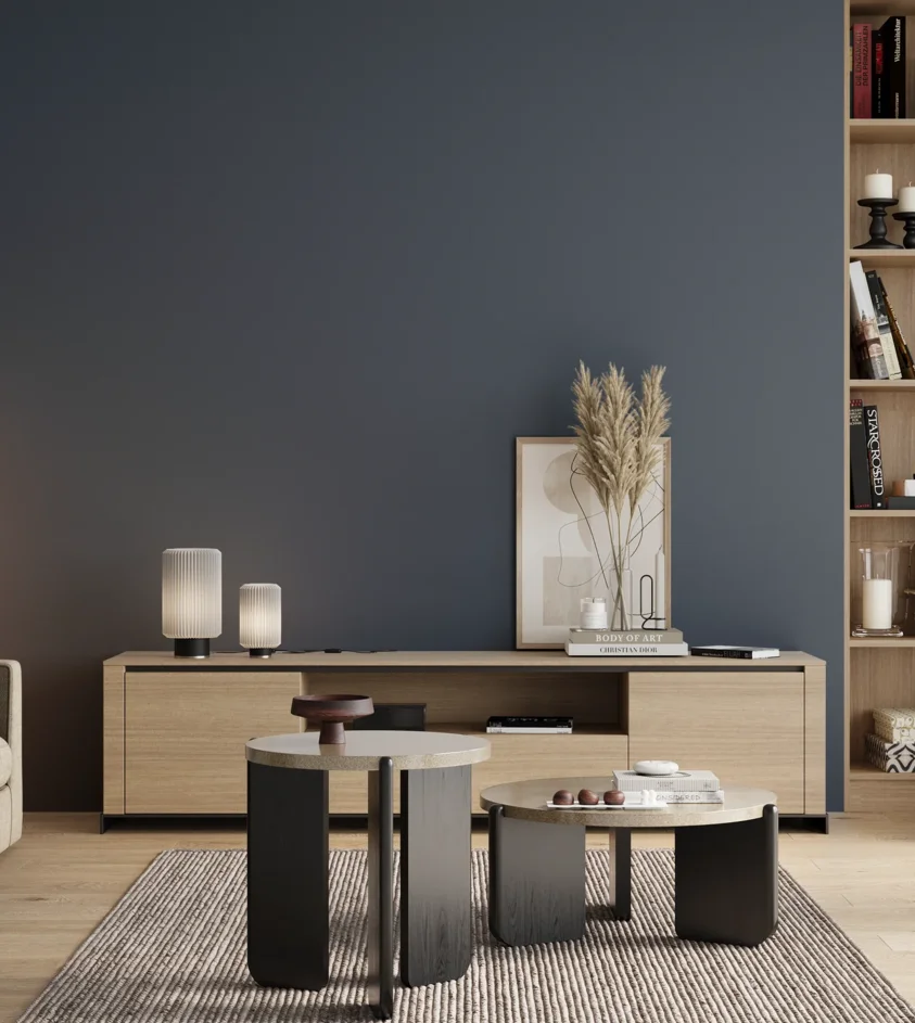 P10_SNIEZKA_salon_00_neutral_GREY_S6020-R90B