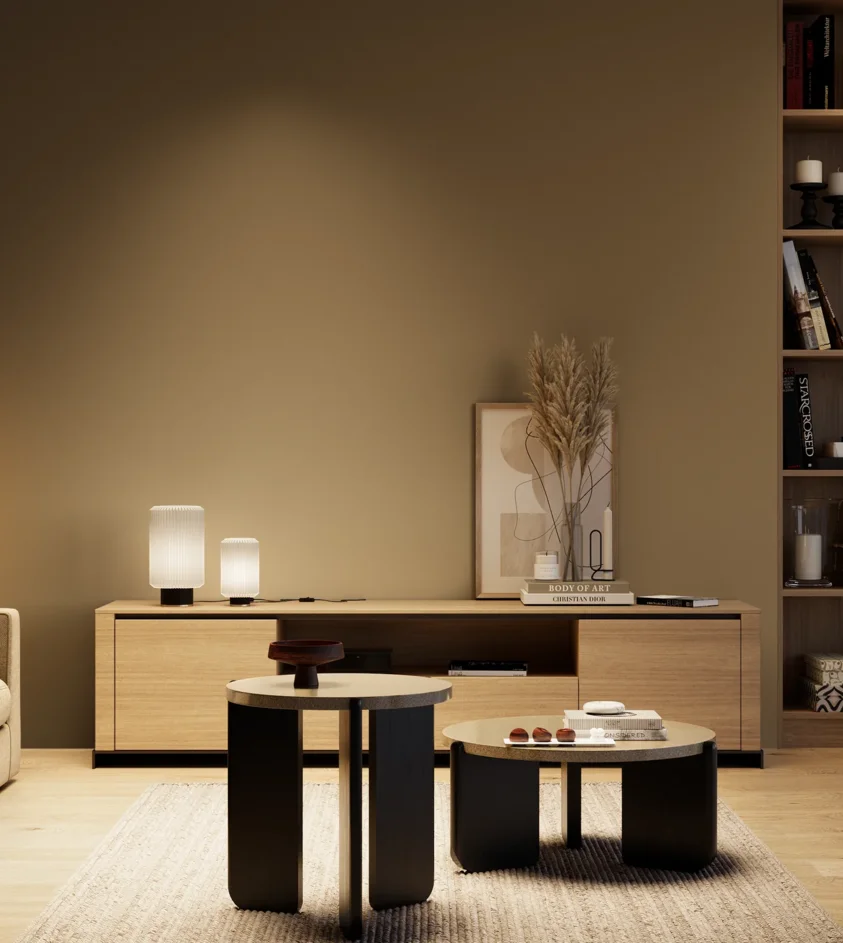 P10_SNIEZKA_salon_04_cieple_GREY_S6020-Y10R