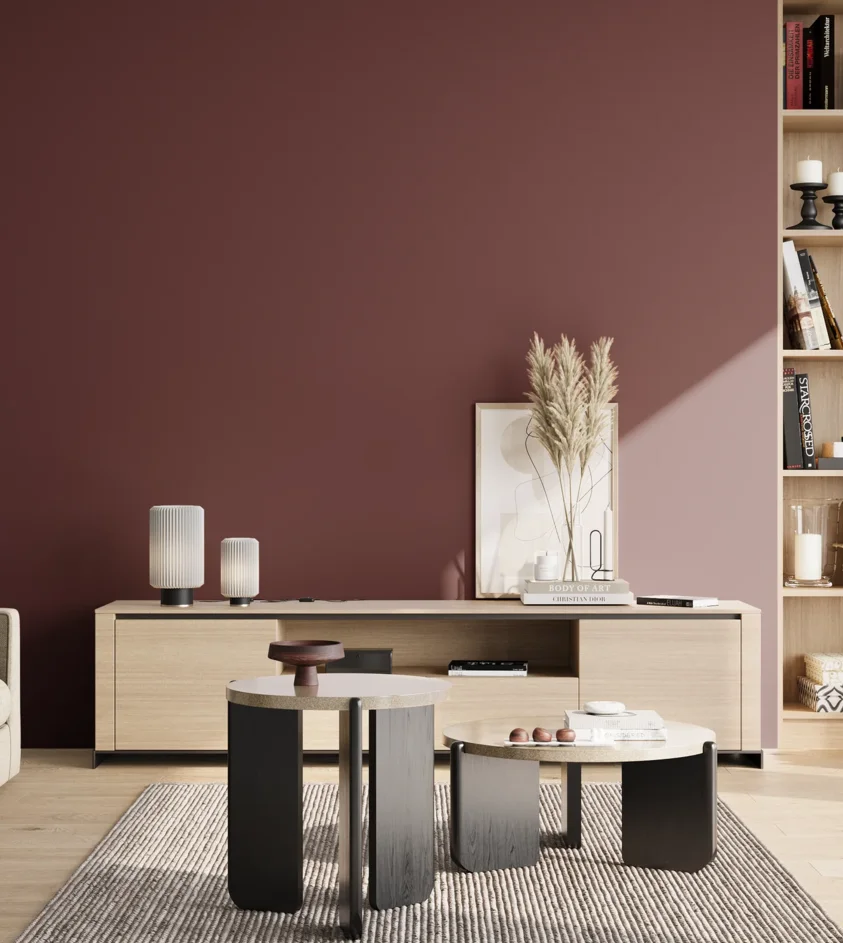 P10_SNIEZKA_salon_02_poludnie_GREY_S6030-R10B