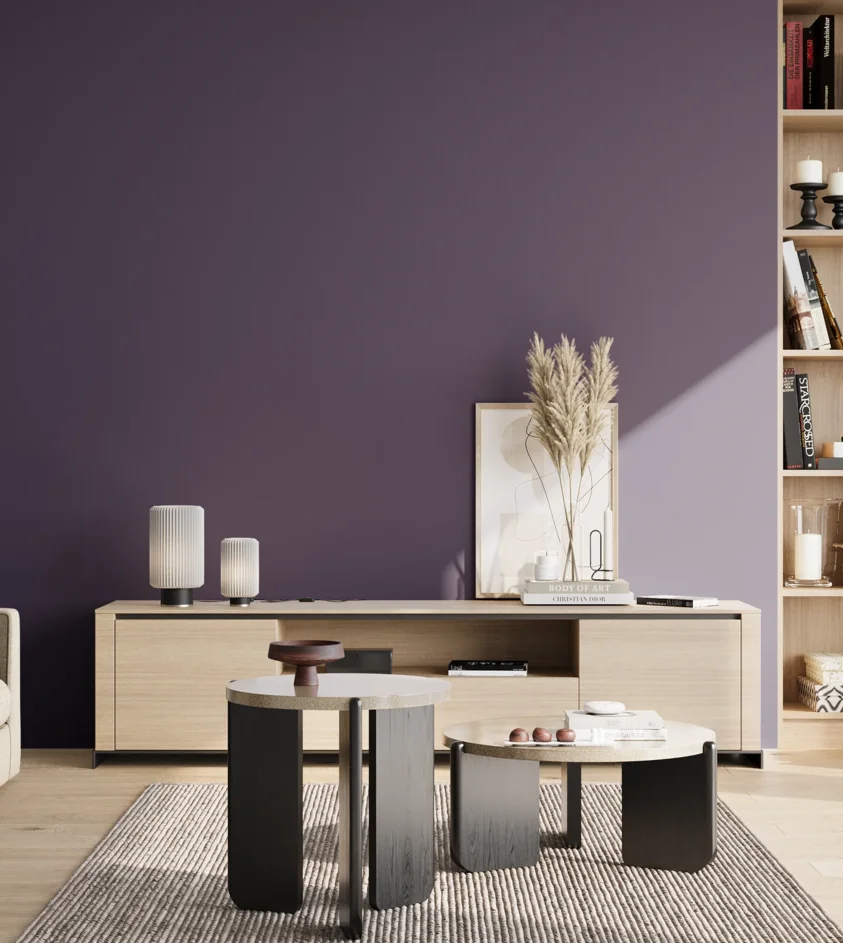 P10_SNIEZKA_salon_02_poludnie_GREY_S6030-R60B