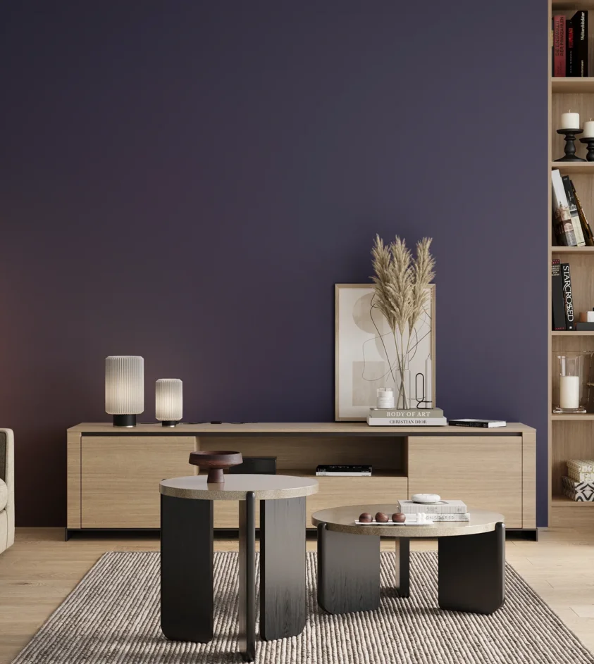 P10_SNIEZKA_salon_00_neutral_GREY_S6030-R70B