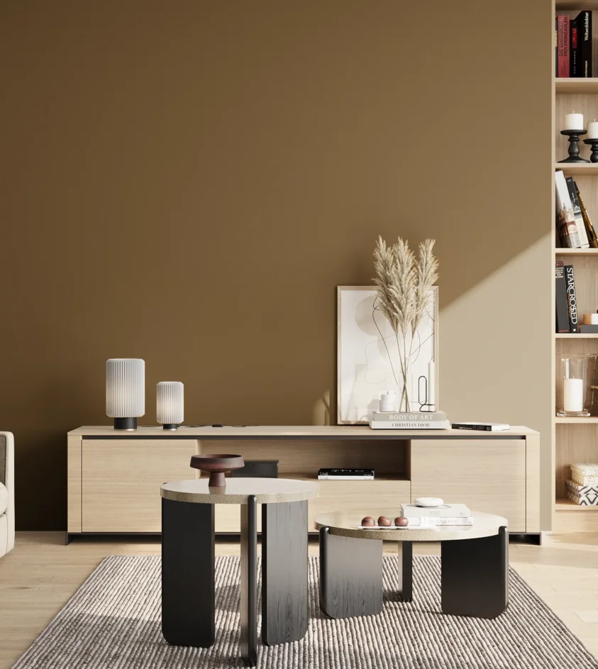 P10_SNIEZKA_salon_02_poludnie_GREY_S6030-Y10R