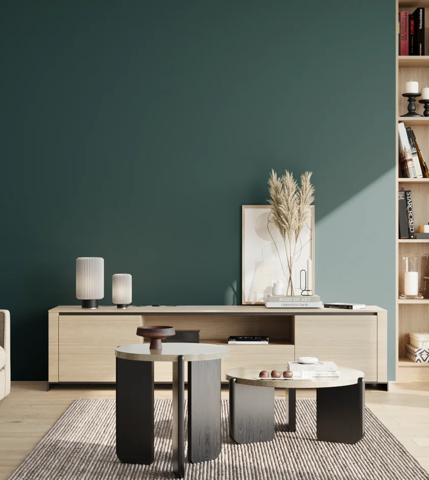 P10_SNIEZKA_salon_02_poludnie_GREY_S6530-B30G