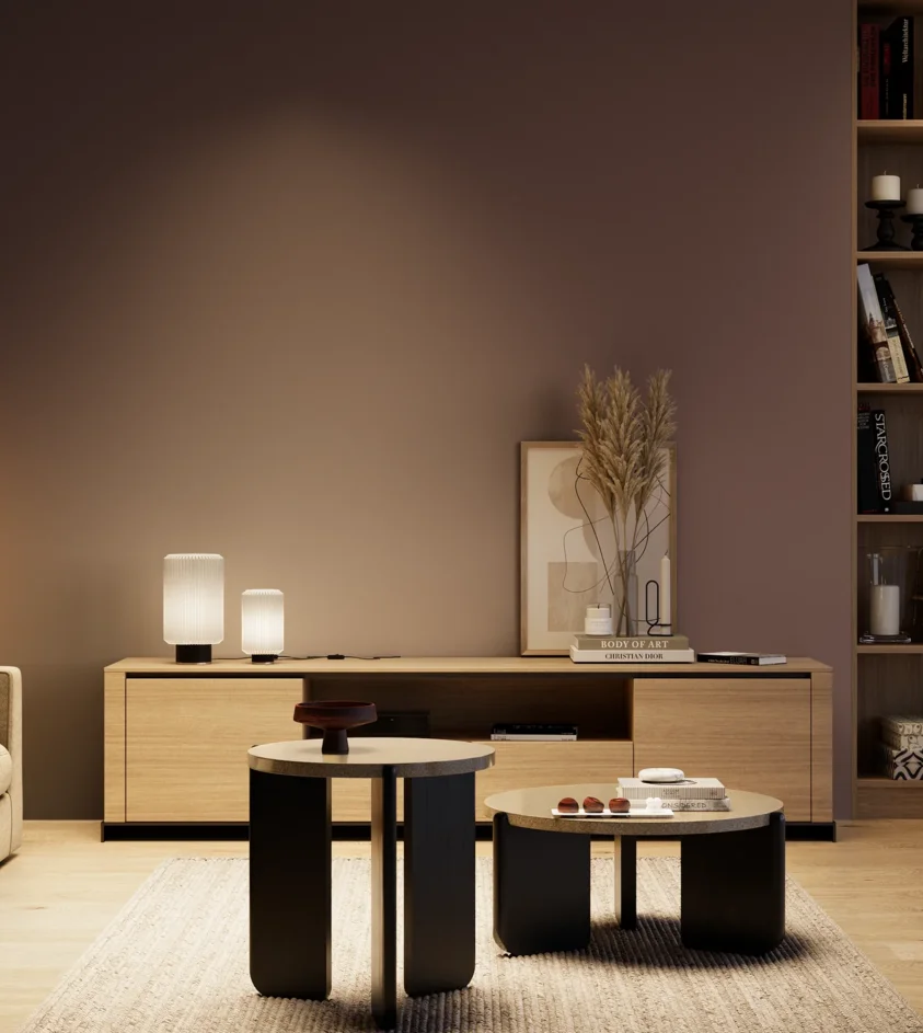 P10_SNIEZKA_salon_04_cieple_GREY_S7010-R10B
