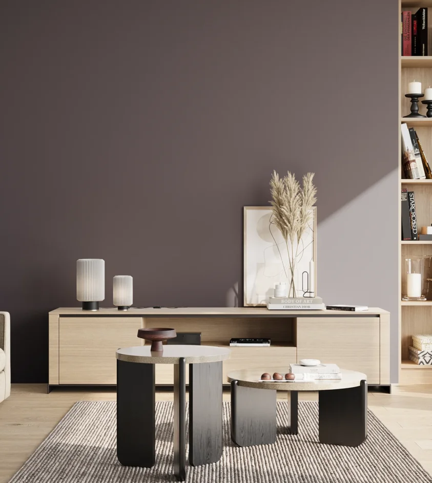 P10_SNIEZKA_salon_02_poludnie_GREY_S7010-R50B