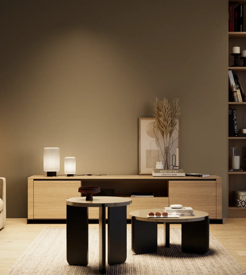 P10_SNIEZKA_salon_04_cieple_GREY_S7010-Y10R