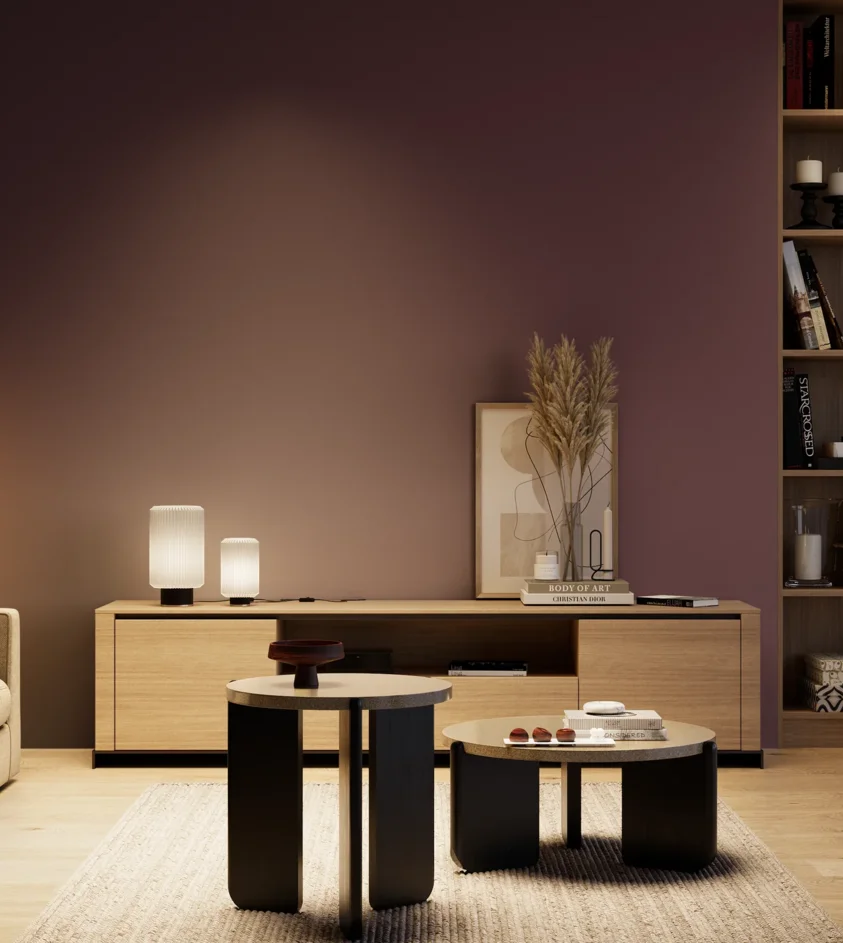 P10_SNIEZKA_salon_04_cieple_GREY_S7020-R30B