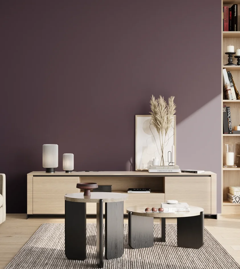 P10_SNIEZKA_salon_02_poludnie_GREY_S7020-R50B