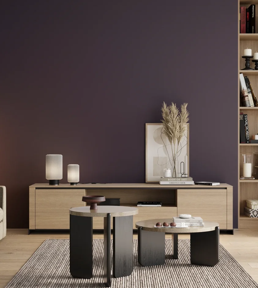 P10_SNIEZKA_salon_00_neutral_GREY_S7020-R60B