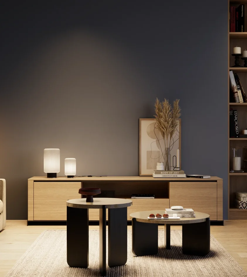 P10_SNIEZKA_salon_04_cieple_GREY_S7020-R80B