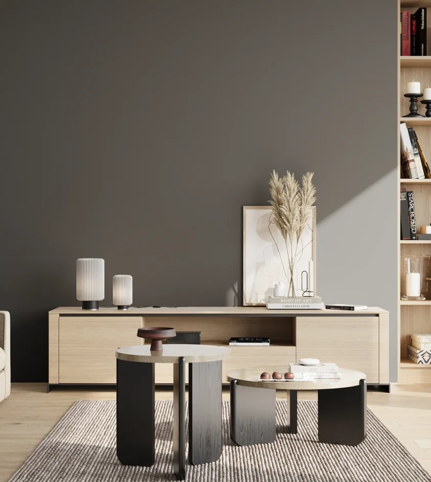 P10_SNIEZKA_salon_02_poludnie_GREY_S7502-B