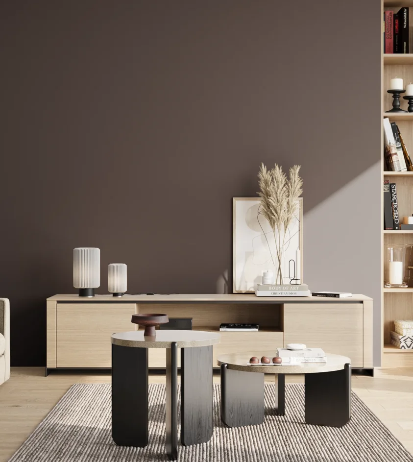 P10_SNIEZKA_salon_02_poludnie_GREY_S8005-R20B