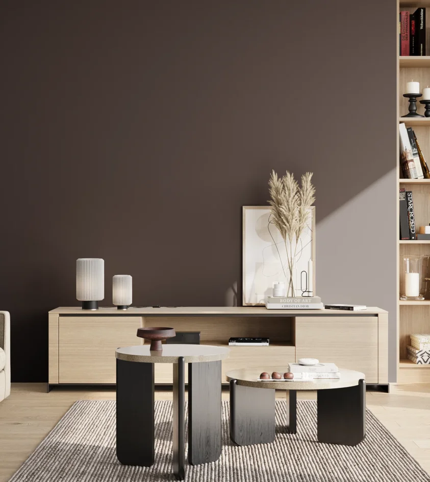 P10_SNIEZKA_salon_02_poludnie_GREY_S8505-R20B