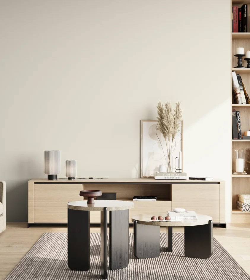 P10_SNIEZKA_salon_02_poludnie_GREY_S0502-Y20R