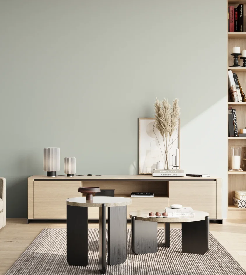 P10_SNIEZKA_salon_02_poludnie_GREY_S1505-G