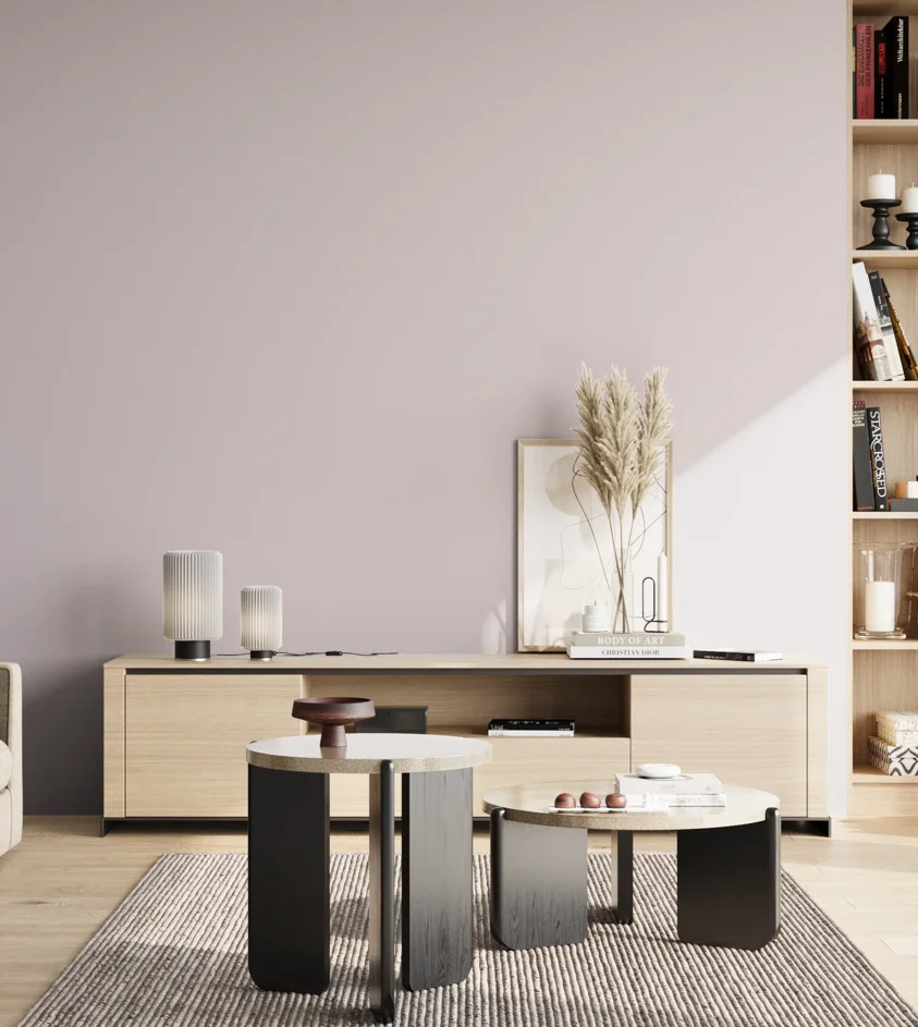P10_SNIEZKA_salon_02_poludnie_GREY_S1505-R30B