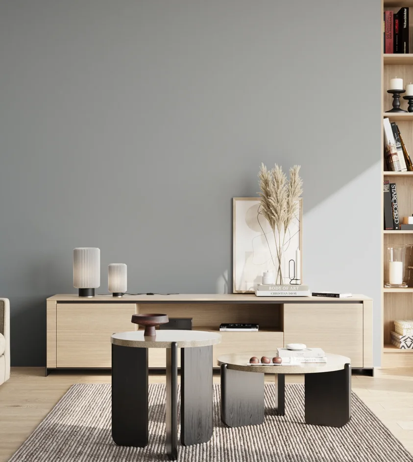 P10_SNIEZKA_salon_02_poludnie_GREY_S3005-B