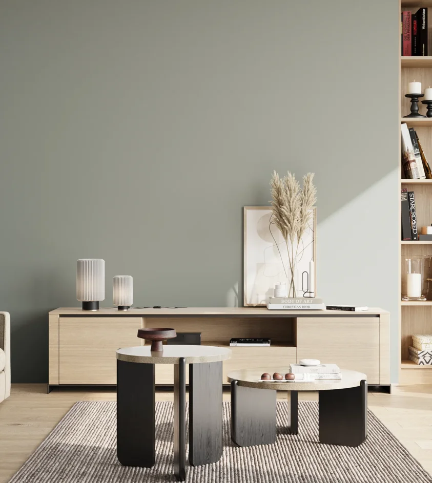 P10_SNIEZKA_salon_02_poludnie_GREY_S3005-G
