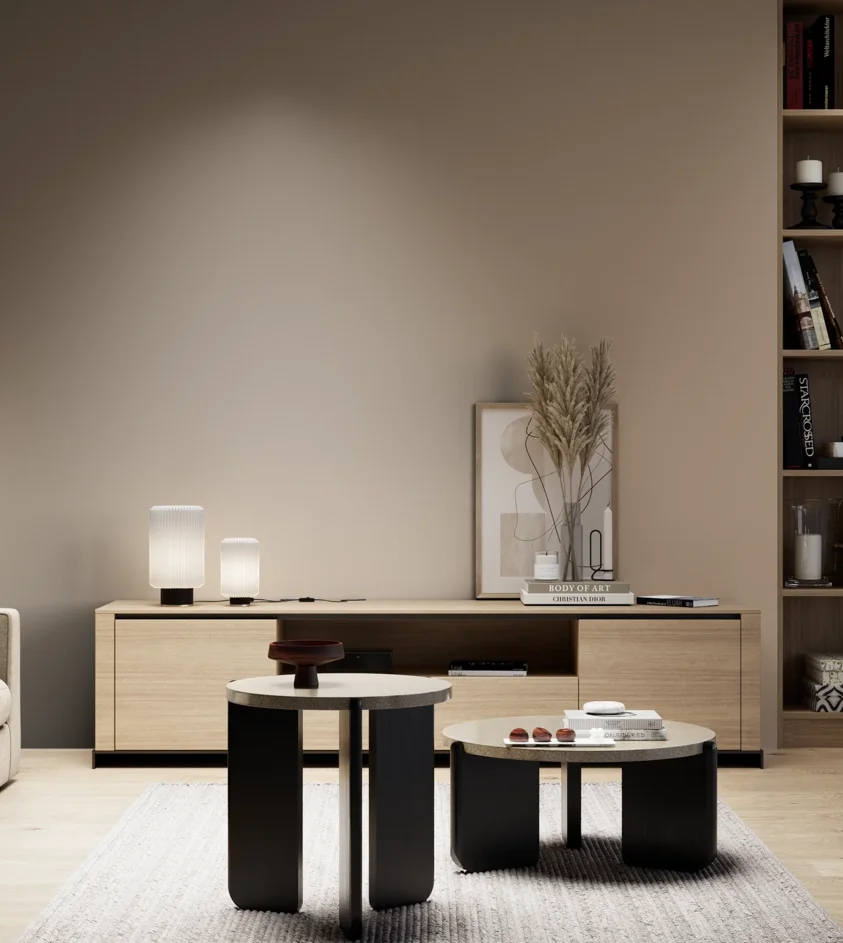 P10_SNIEZKA_salon_05_zimne_GREY_RAL1019