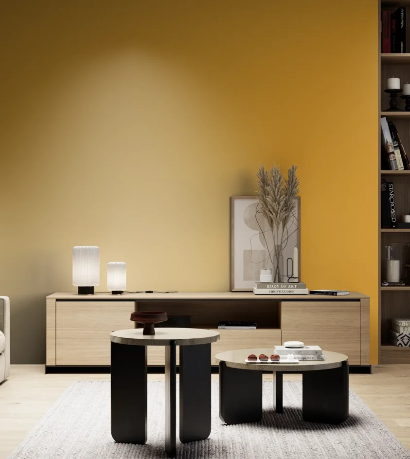 P10_SNIEZKA_salon_05_zimne_GREY_RAL1032