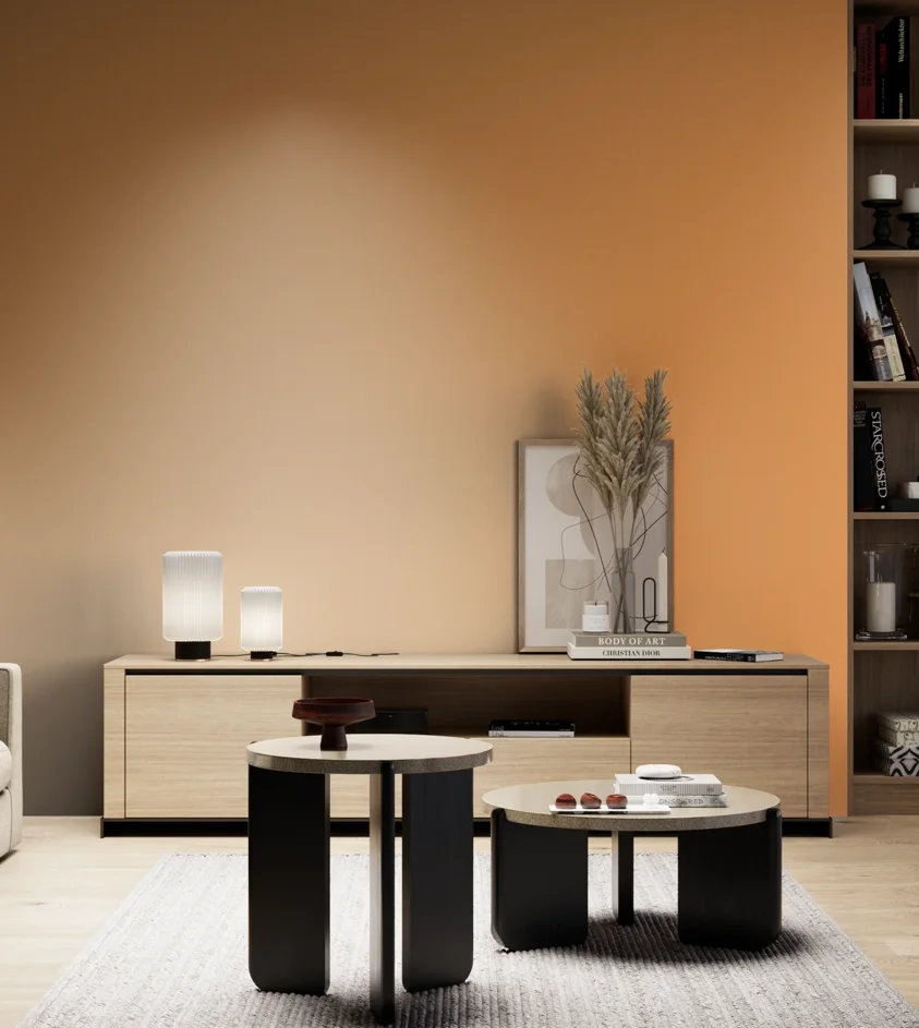 P10_SNIEZKA_salon_05_zimne_GREY_RAL1034