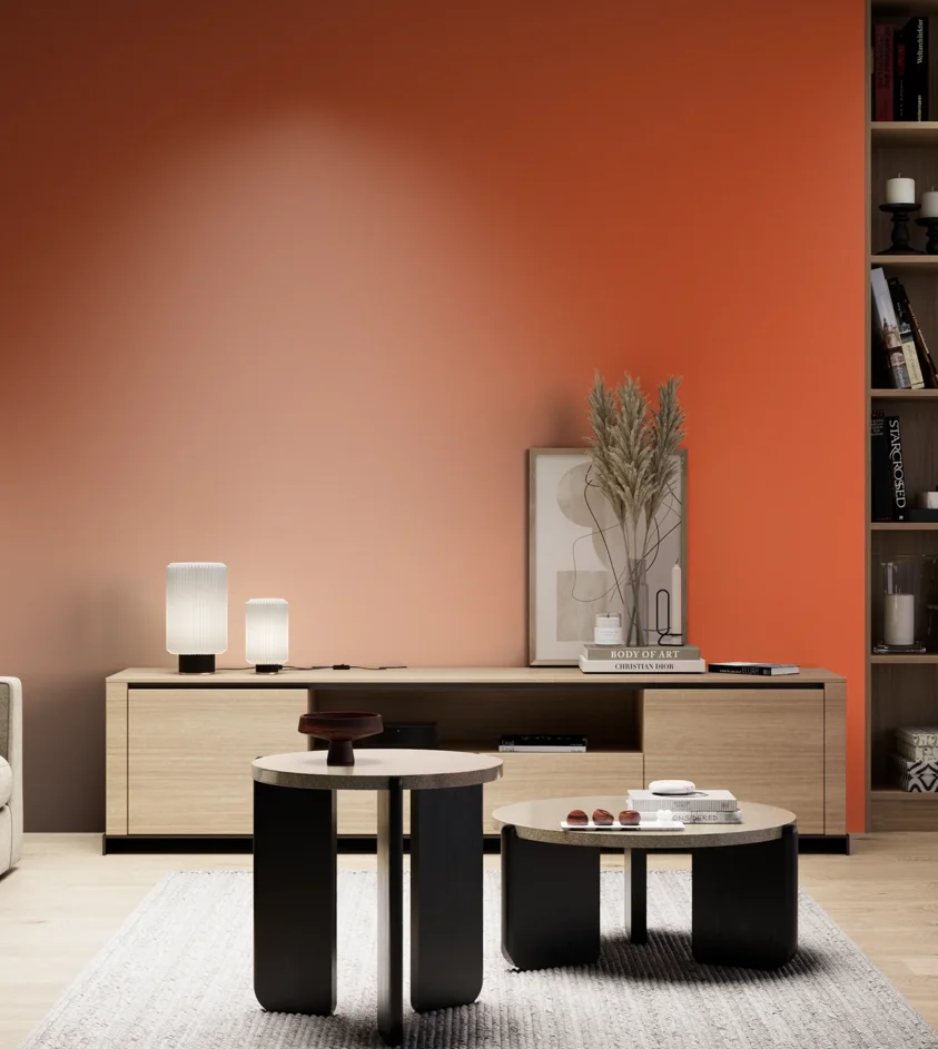 P10_SNIEZKA_salon_05_zimne_GREY_RAL2004
