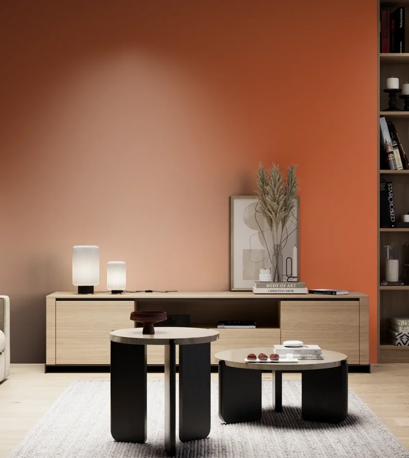 P10_SNIEZKA_salon_05_zimne_GREY_RAL2010