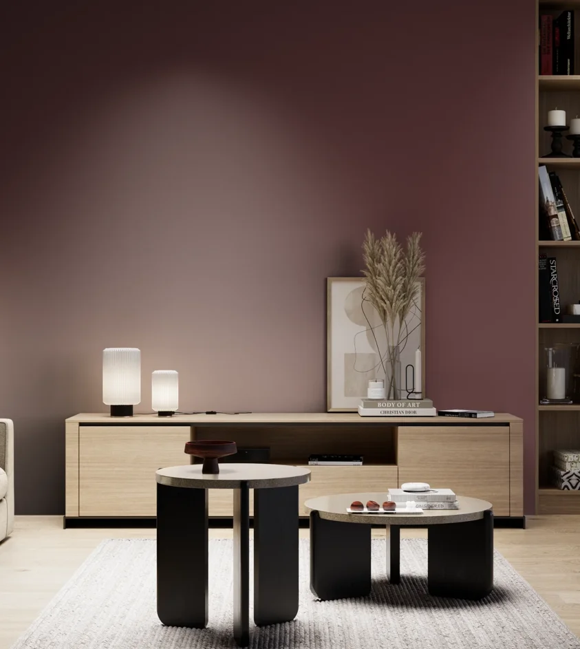 P10_SNIEZKA_salon_05_zimne_GREY_RAL3005