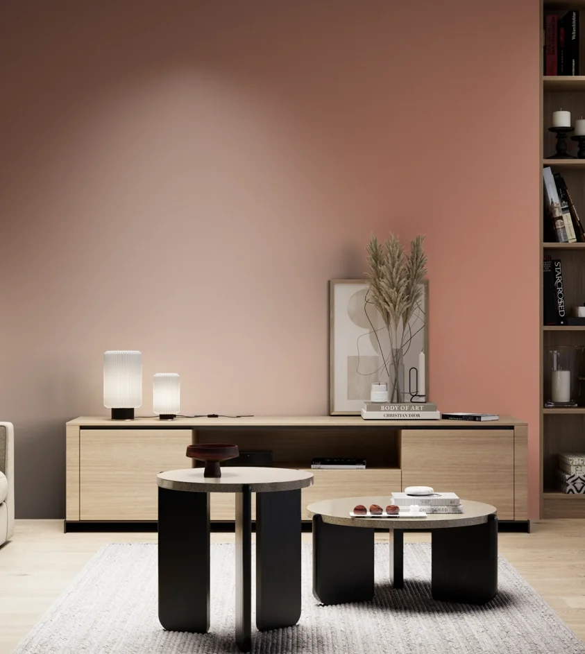 P10_SNIEZKA_salon_05_zimne_GREY_RAL3012
