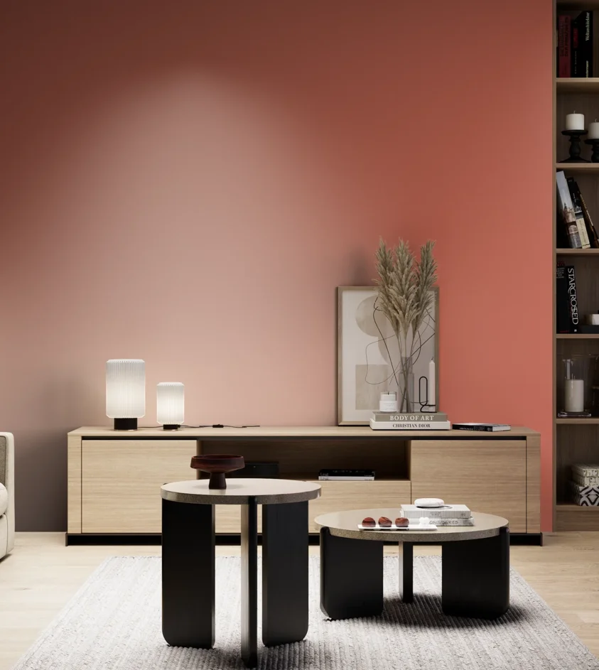 P10_SNIEZKA_salon_05_zimne_GREY_RAL3022
