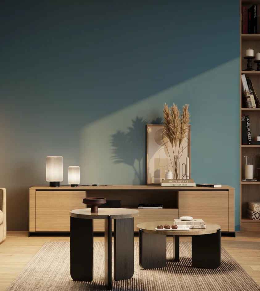 P10_SNIEZKA_salon_03_wieczor_GREY_RAL5012