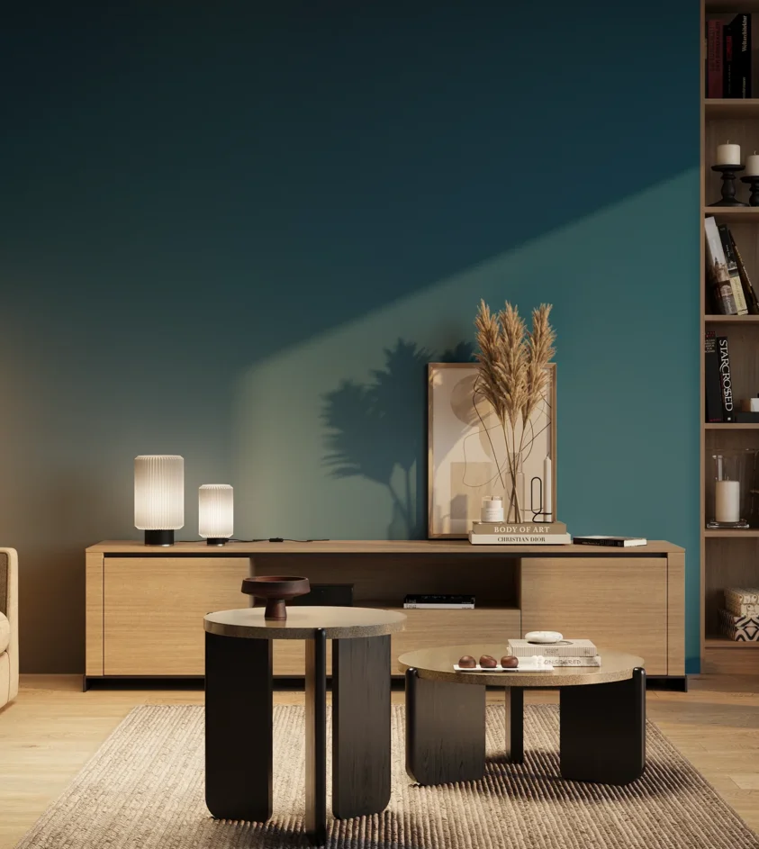 P10_SNIEZKA_salon_03_wieczor_GREY_RAL5017