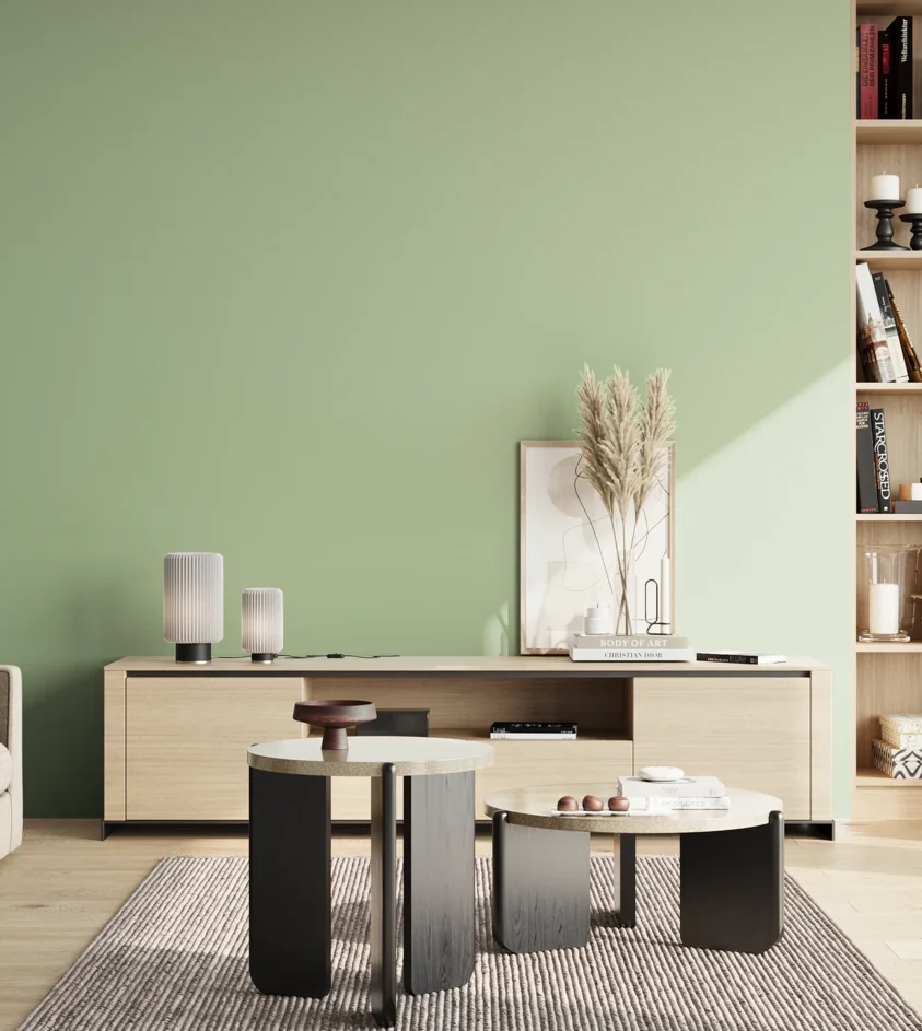 P10_SNIEZKA_salon_02_poludnie_GREY_RAL6019