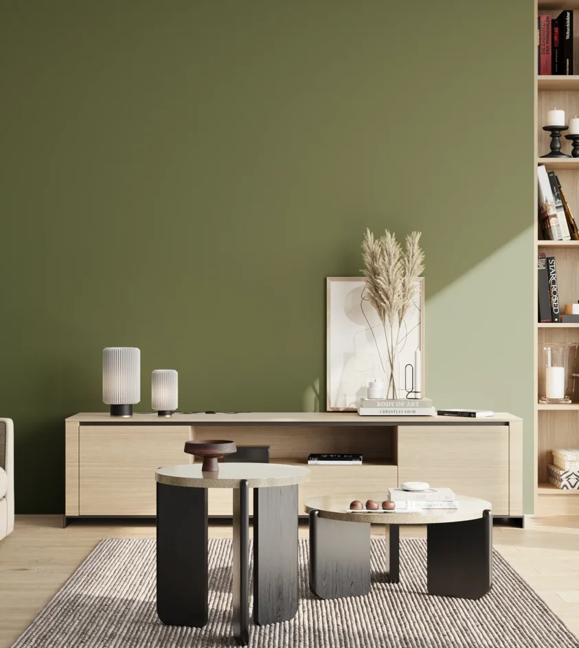 P10_SNIEZKA_salon_02_poludnie_GREY_RAL6025