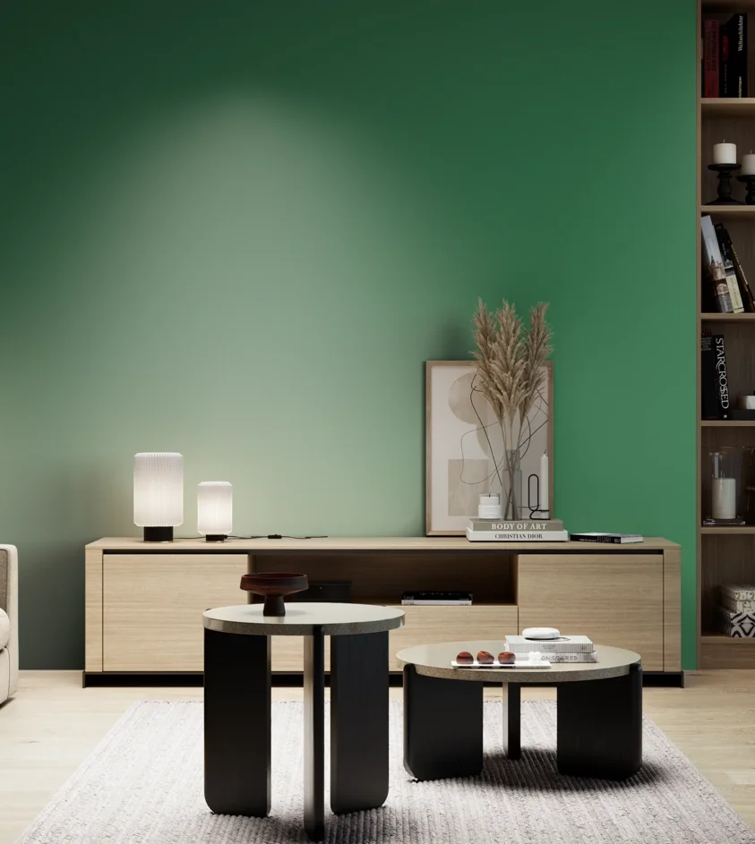 P10_SNIEZKA_salon_05_zimne_GREY_RAL6032