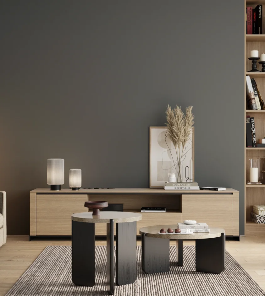 P10_SNIEZKA_salon_00_neutral_GREY_RAL7031