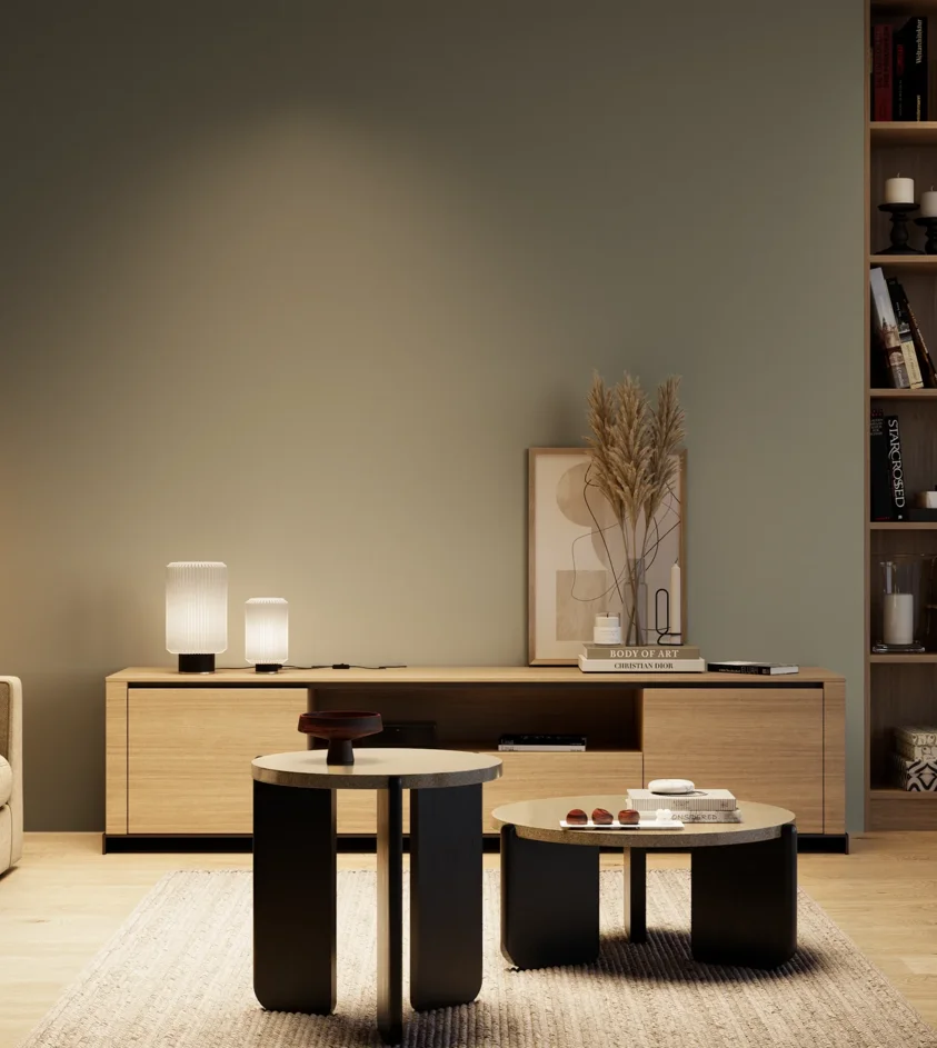 P10_SNIEZKA_salon_04_cieple_GREY_RAL7033