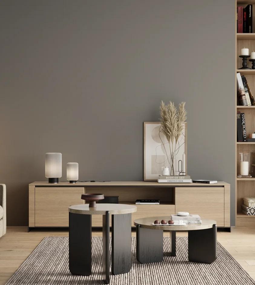 P10_SNIEZKA_salon_00_neutral_GREY_RAL7042