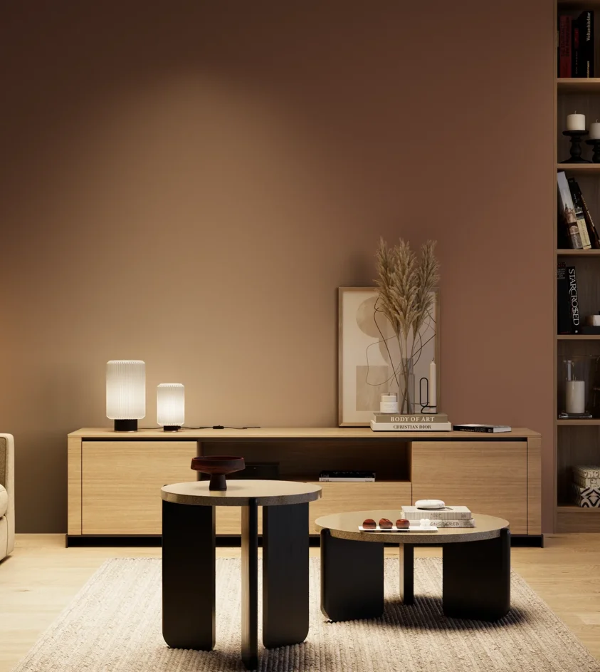 P10_SNIEZKA_salon_04_cieple_GREY_RAL8002