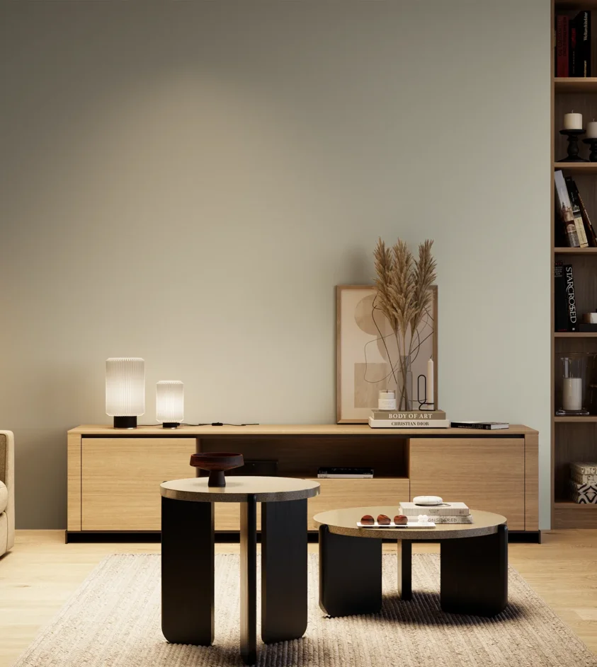 P10_SNIEZKA_salon_04_cieple_GREY_RAL9018