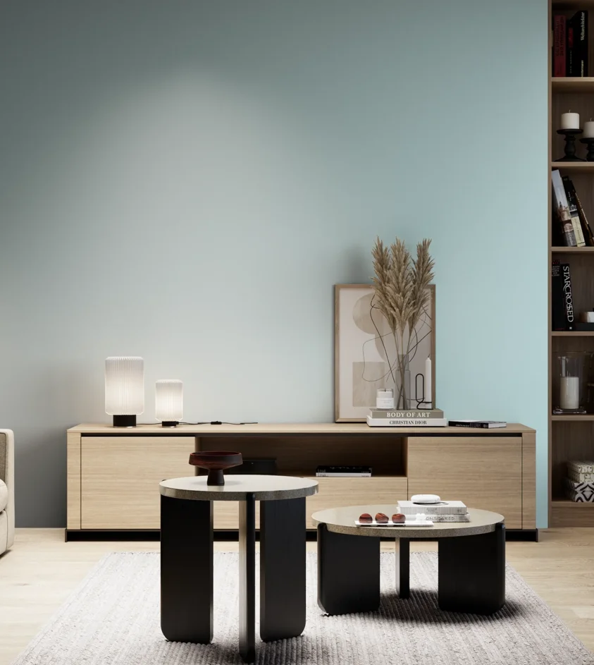 P10_SNIEZKA_salon_05_zimne_GREY_S0515-B20G