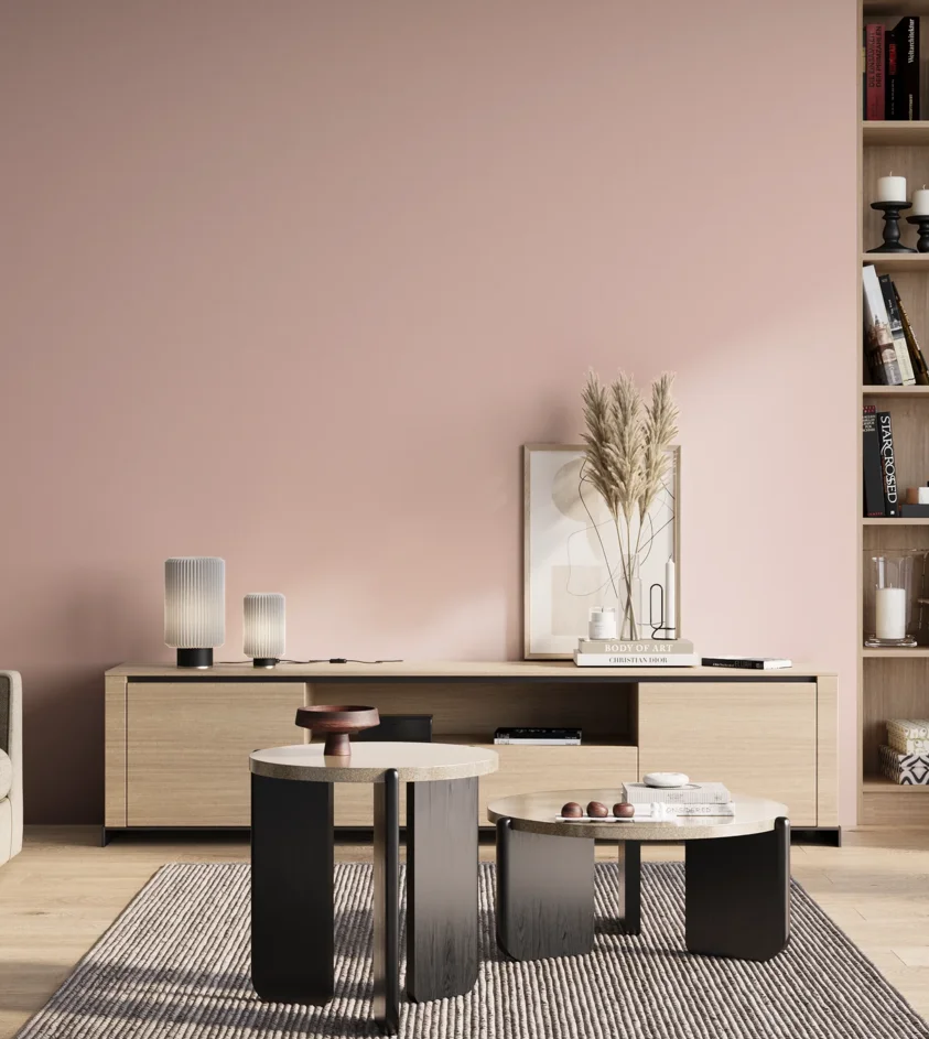 P10_SNIEZKA_salon_01_poranek_GREY_S0515-R