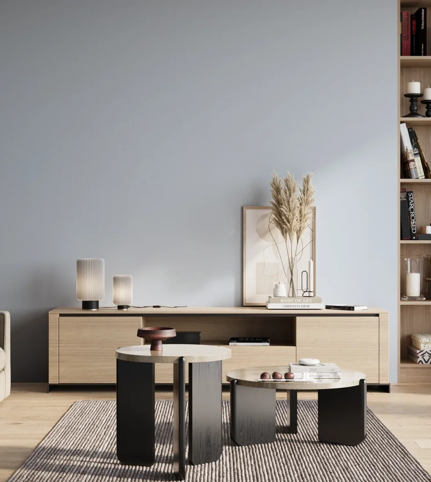 P10_SNIEZKA_salon_01_poranek_GREY_S0515-R80B