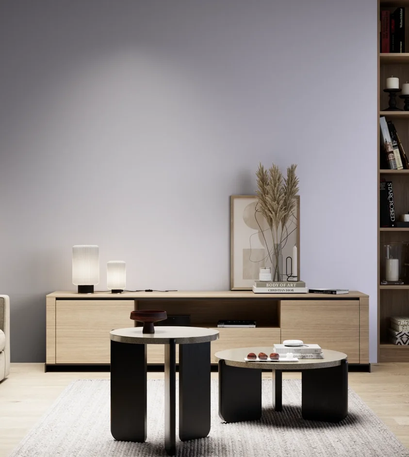 P10_SNIEZKA_salon_05_zimne_GREY_S0520-R60B