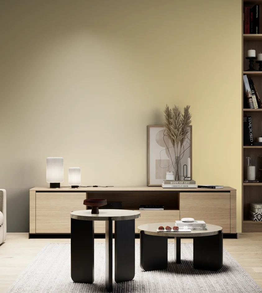 P10_SNIEZKA_salon_05_zimne_GREY_S0520-Y10R
