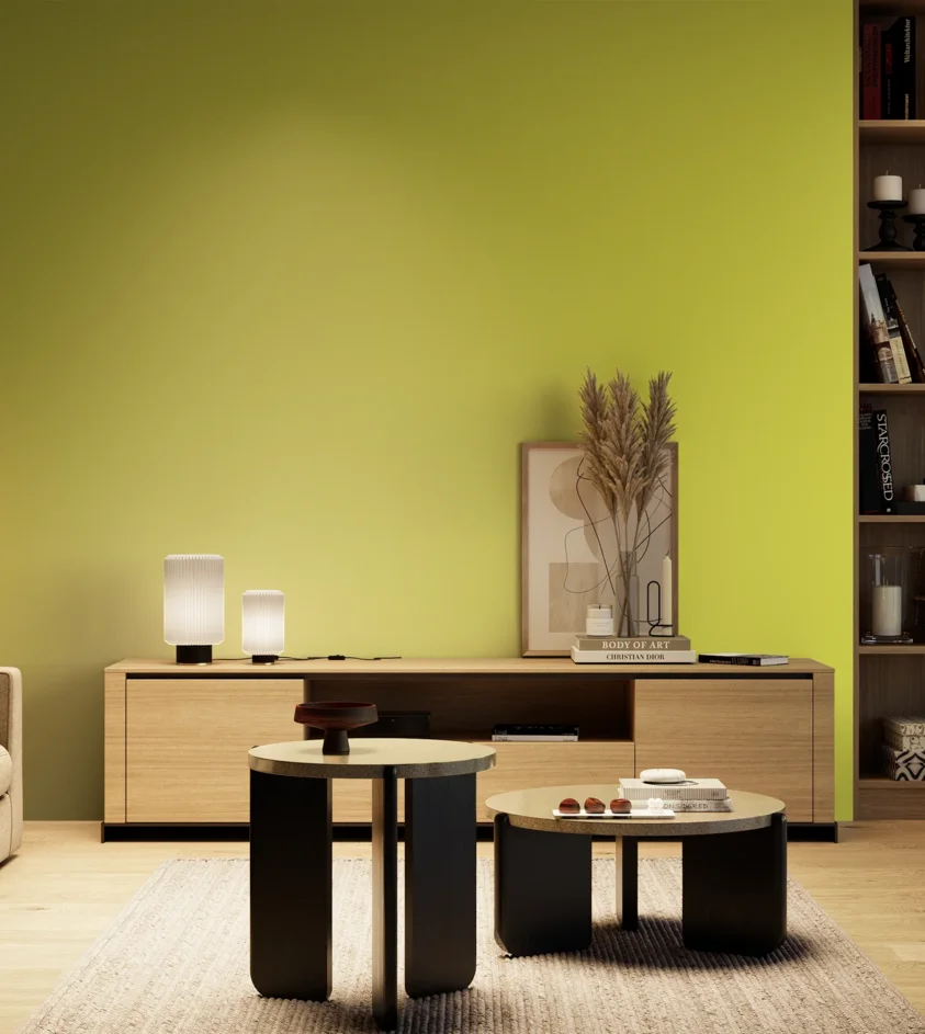 P10_SNIEZKA_salon_04_cieple_GREY_S0560-G70Y