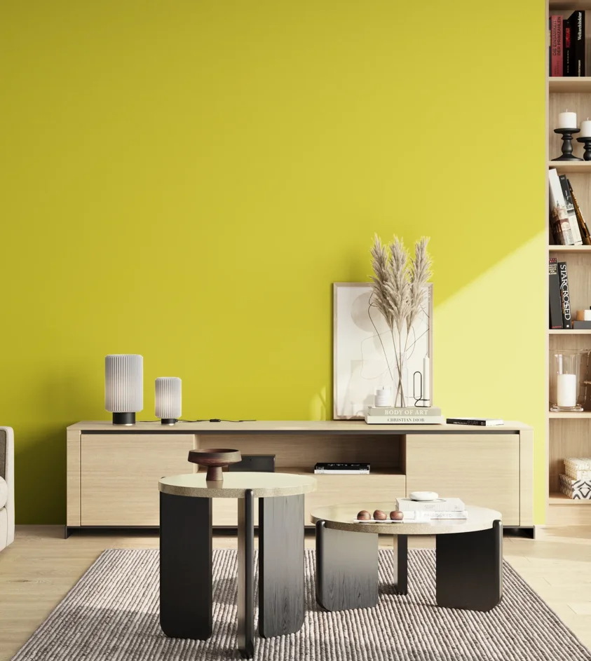 P10_SNIEZKA_salon_02_poludnie_GREY_S0570-G80Y