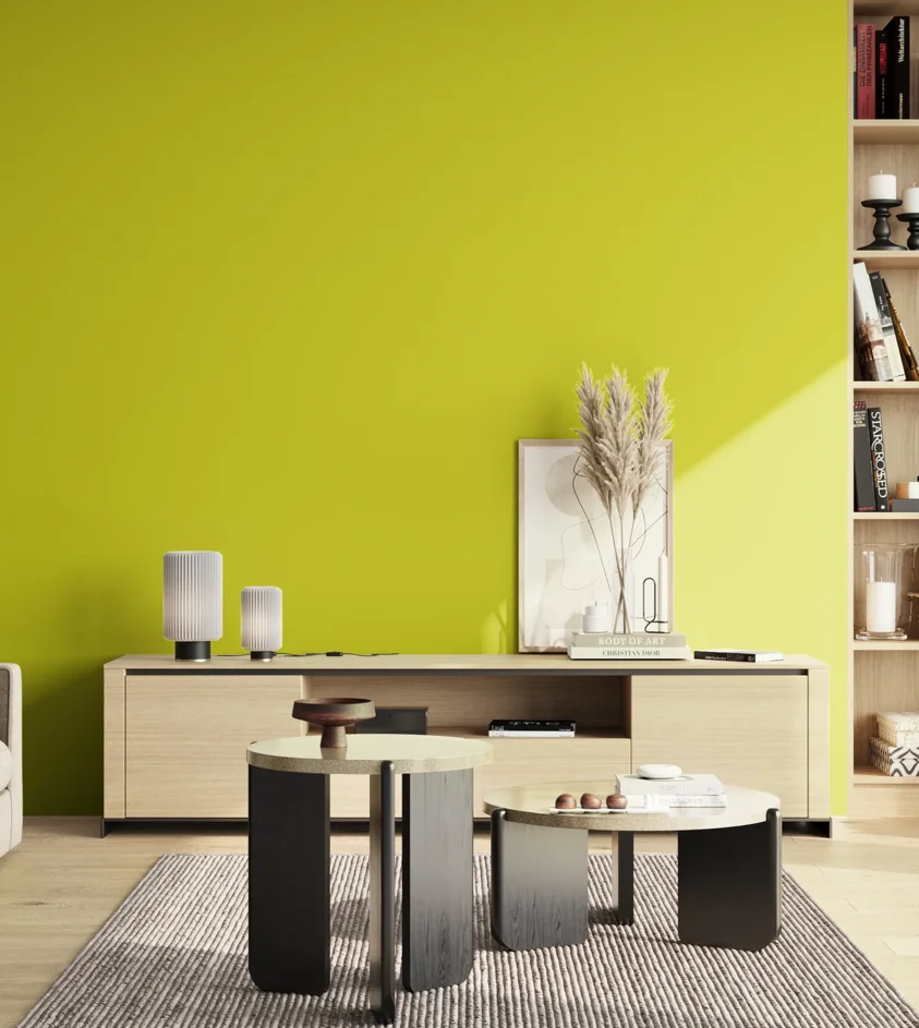 P10_SNIEZKA_salon_02_poludnie_GREY_S0575-G70Y